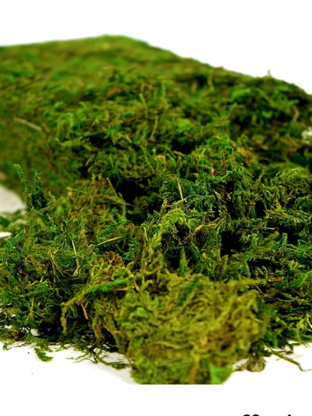 Faux Green Decorative Reptile Moss – Natural looking Faux Moss